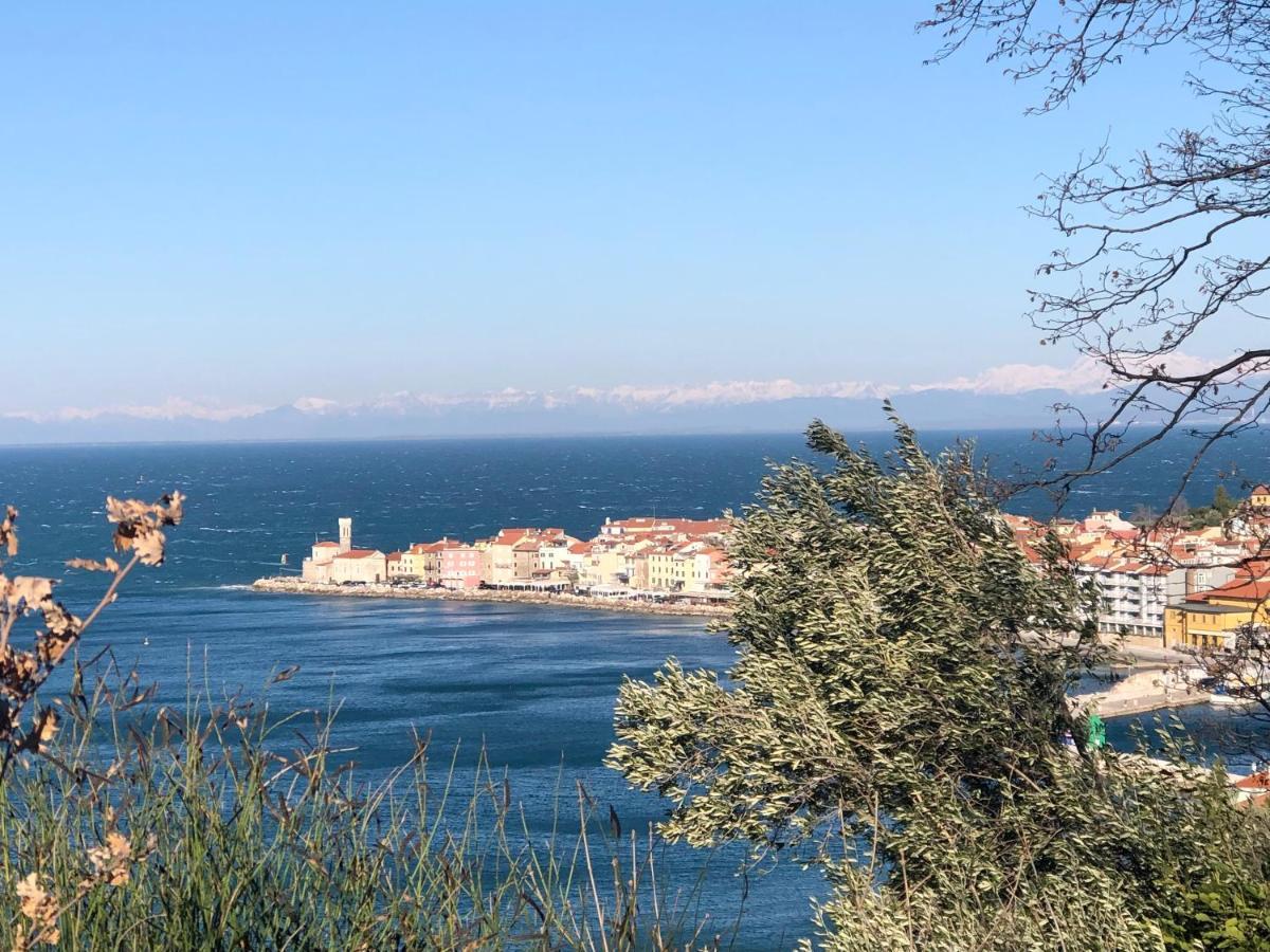 Apartment Modrin Piran Exterior foto