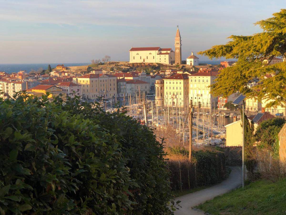 Apartment Modrin Piran Exterior foto